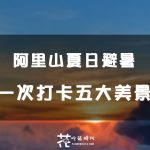 阿里山夏日避暑心得分享！一次打卡五大奇景，清涼又難忘的體驗