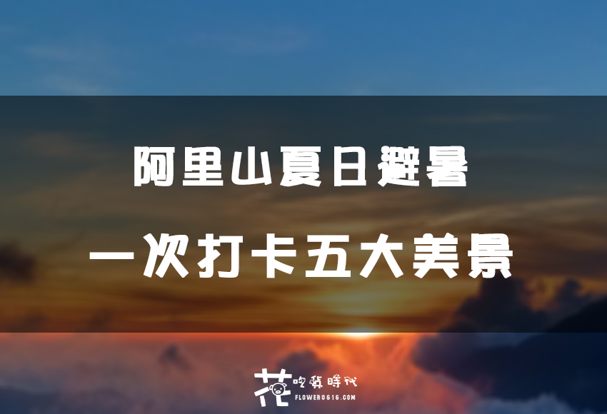 阿里山夏日避暑心得分享！一次打卡五大奇景，清涼又難忘的體驗