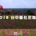 【台中│新社】2015 台中新社花海節