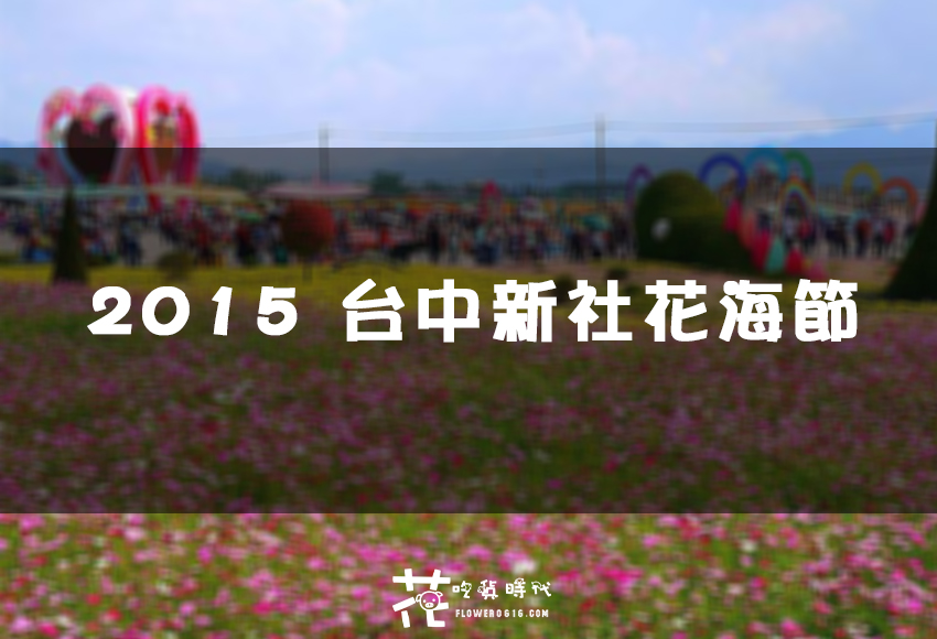 【台中│新社】2015 台中新社花海節