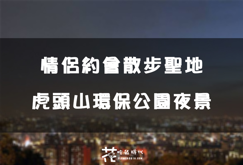 【桃園│桃園區】情侶放閃勝地！約會 散步兩相宜。虎頭山環保公園夜景