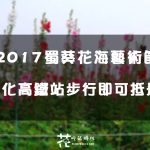 【彰化│田中】2017蜀葵花海藝術節/落羽松林。3/18花況。彰化高鐵站步行可抵達