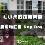 【台中│后里】帶著毛小孩跑蹦跳！ 走吧！兜兜風寵物餐廳 Dog Dog Fun~毛小孩專屬樂園