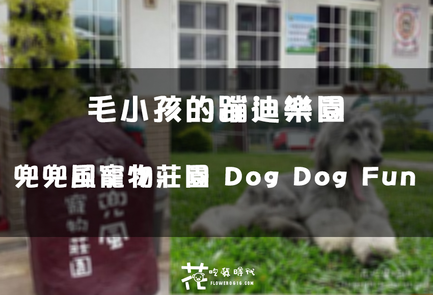 【台中│后里】帶著毛小孩跑蹦跳！ 走吧！兜兜風寵物餐廳 Dog Dog Fun~毛小孩專屬樂園