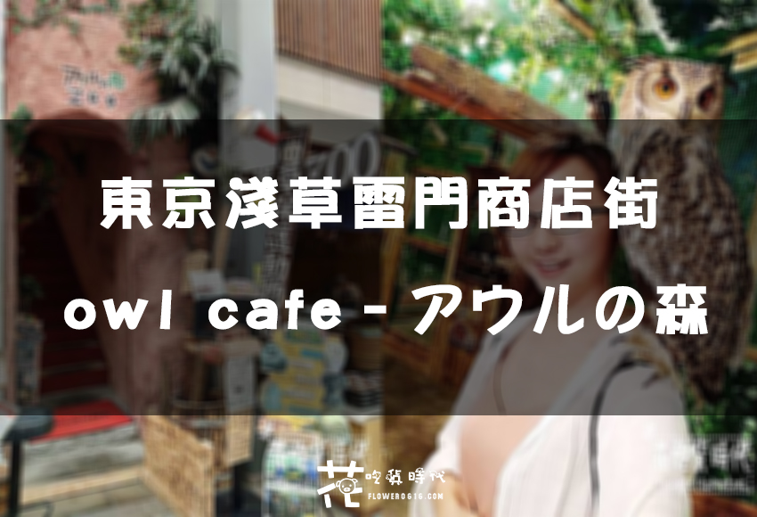 【東京淺草】雷門商店街小動物園 – owl cafe – アウルの森 貓頭鷹咖啡