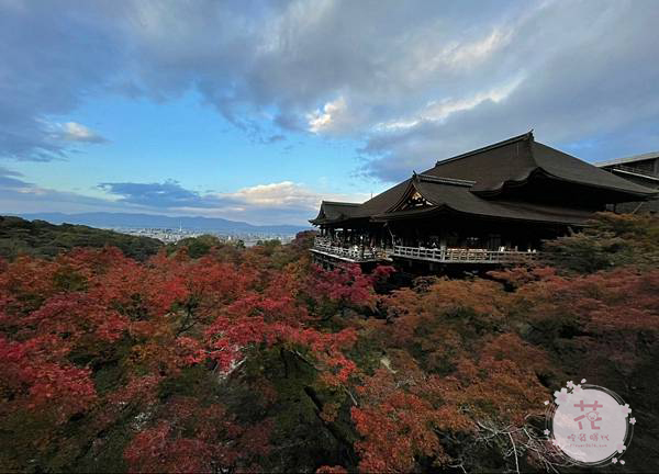 【東京、京都賞楓自由行】日本最佳賞楓時間怎麼選？富士山楓葉迴廊、嵯峨嵐山、清水寺、東福寺賞楓行程推薦