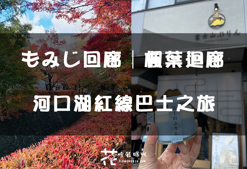 【日本追楓DAY.2】 河口湖紅線巴士之旅 もみじ回廊│楓葉迴廊 和雨過天晴的富士山