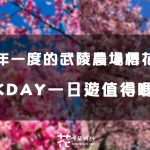 【櫻花現況】一年一度的武陵農場櫻花季已滿開！KKDAY一日遊台中出發行程值得嗎？