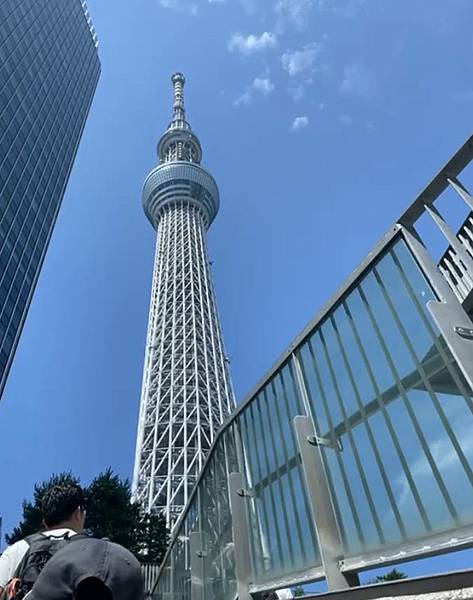 【日本旅遊】夏季水蜜桃吃好吃滿之旅！東京五天四夜自由行行程 