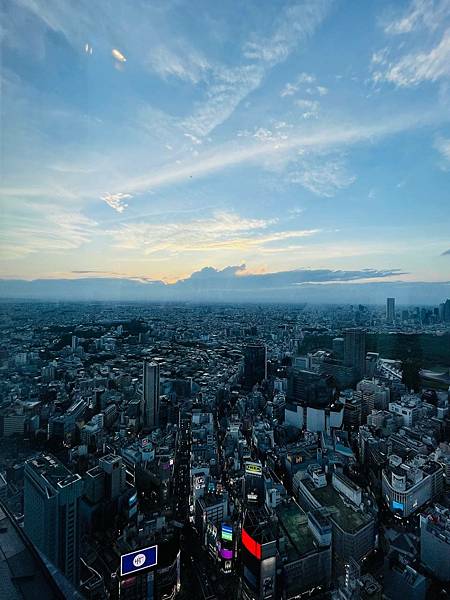 【日本旅遊】夏季水蜜桃吃好吃滿之旅！東京五天四夜自由行行程 