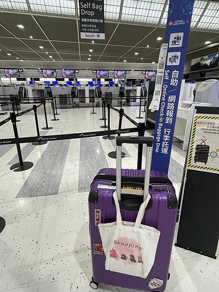 【日本旅遊】夏季水蜜桃吃好吃滿之旅！東京五天四夜自由行行程 