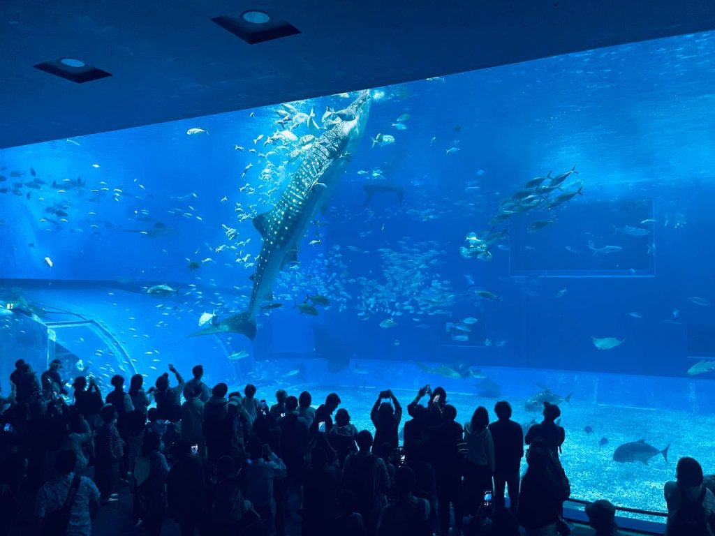 沖繩美麗海水族館KKDAY中北部一日遊行程